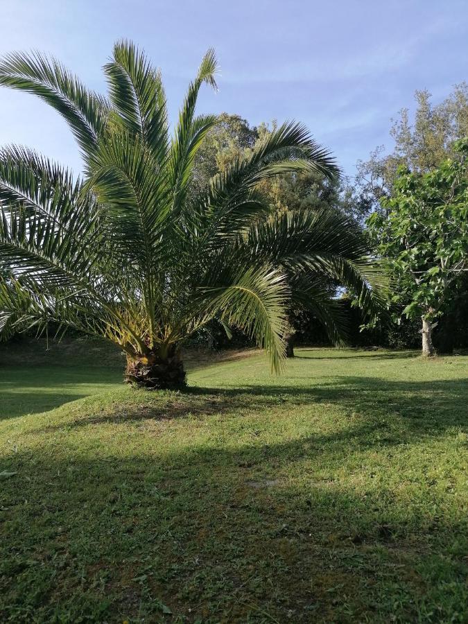 Villa El Encinar De Noja Eksteriør bilde